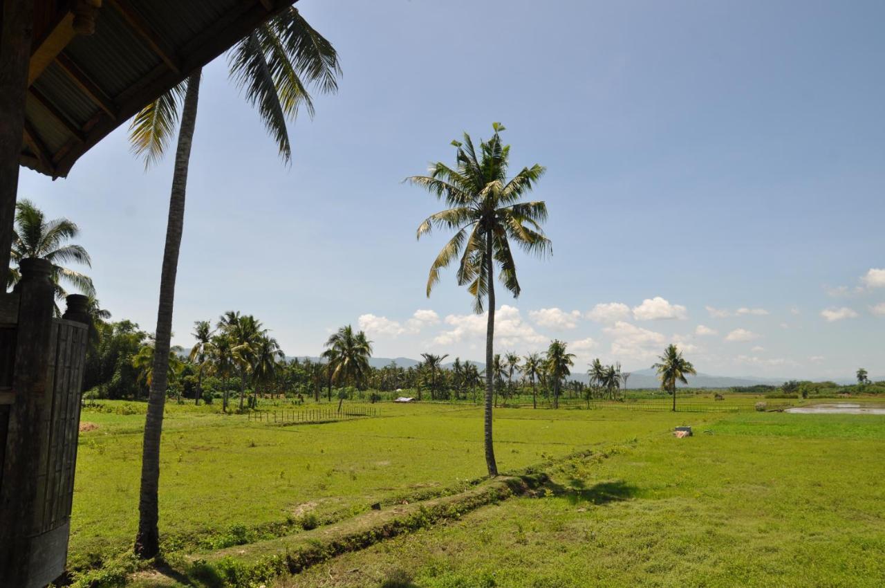 Sunset Homestay By Harry & Mimin Telaga Exterior photo